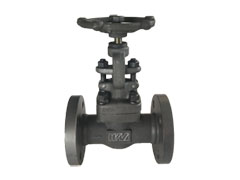 Solid-forged fittings Hua Ying Valve